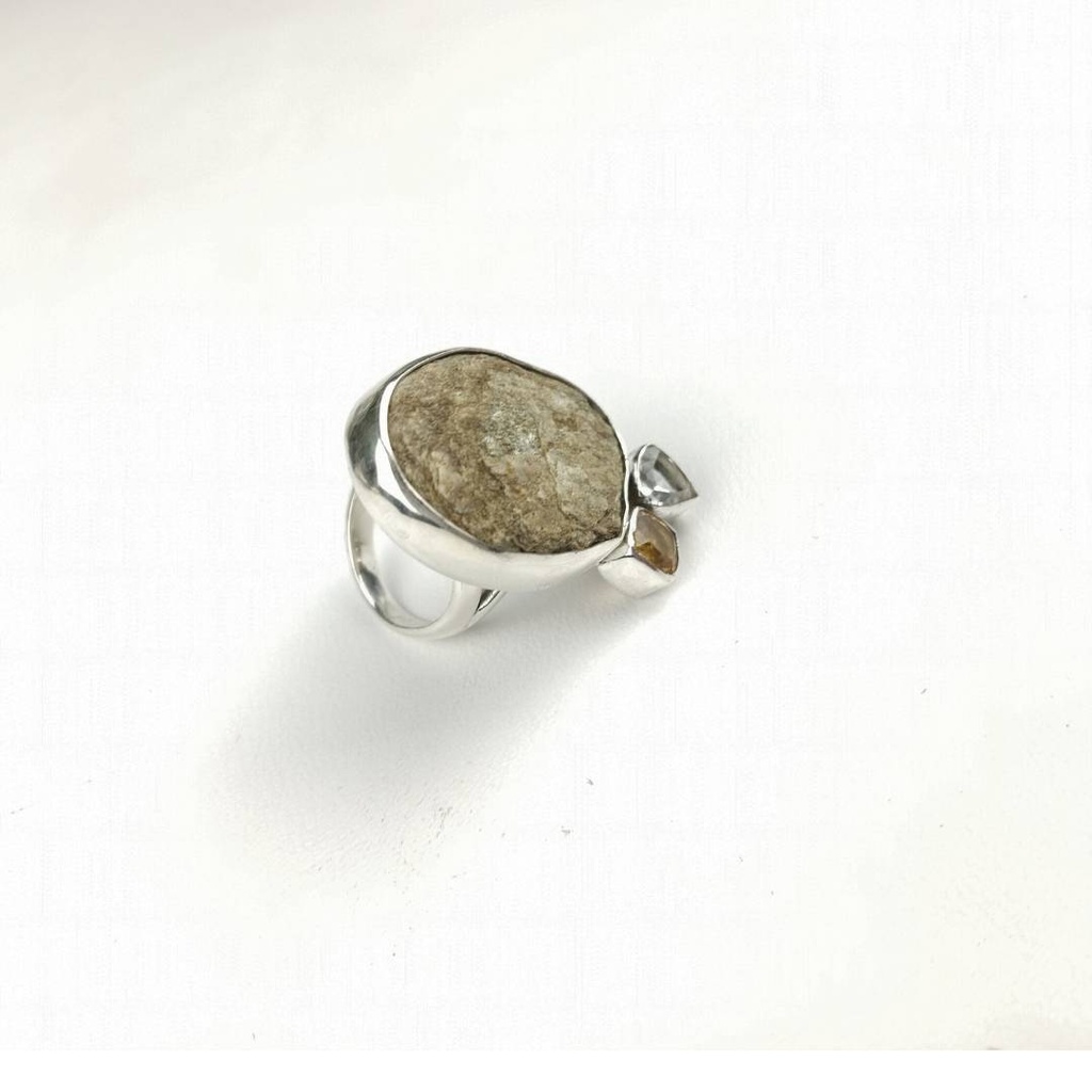 Anillo Terra