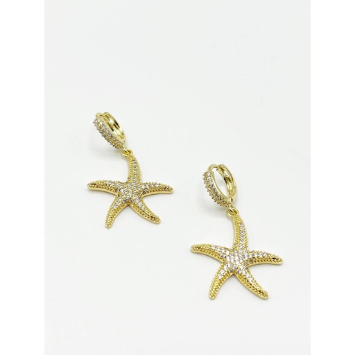 [AR05] Aretes Estrella de Mar 