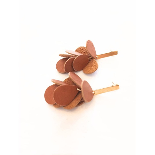 Aretes Cascada 